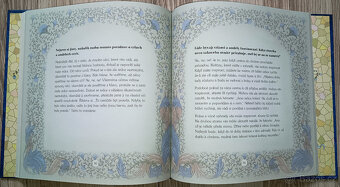 Sri Chinmoy - Andělé a víly - 3