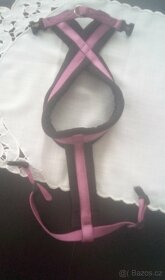 kšíry pro pejska - 3