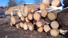 Palivové dřevo smrk Prachatice a okolí do 50 km - 3