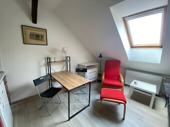 Pronájem bytu 1kk, 22 m2, zahrada, Mánesova ul., České Buděj - 3