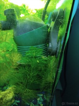 Akvárium Diversa - 3