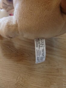 Pejsek Floppy na vodítku - 3