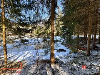 Prodej, pozemky/rybník, 5094 m2, Na Moravě 505, Desná II, 46 - 3