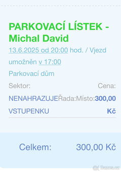 Michal David 13.6. O2 aréna včetně parkovacího místa - 3