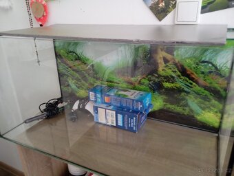 Aquarium - 3