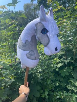 Hobby horse - 3