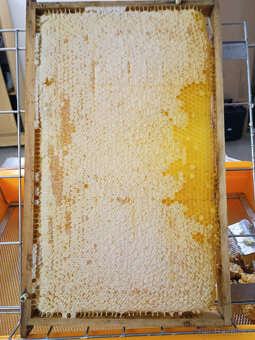 Včelí med - květový - 3