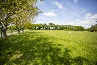 Stavební pozemek u lesa 1400m2 - 3