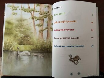 CO DĚLAJÍ ZVÍŘÁTKA - ZIMA - 3