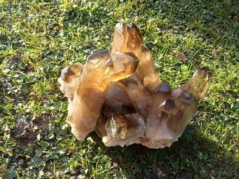 Citrin , velká drůza 6kg - 3