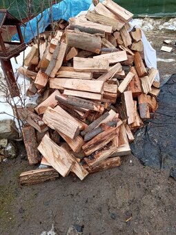 Prodám palivové dřevo tvrdé - 3