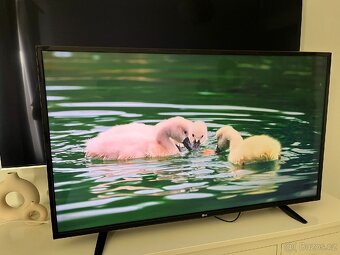 4K LG smart TV 108cm - 3