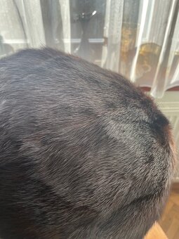 Kožešinová čepice - 3