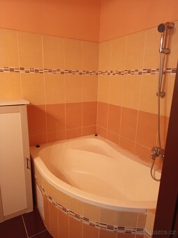 Pronájem bytu 1+1 - 3