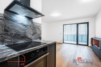Pronájem, byty/1+kk, 56 m2, Kleštínek 382/16, Jehnice, 62100 - 3