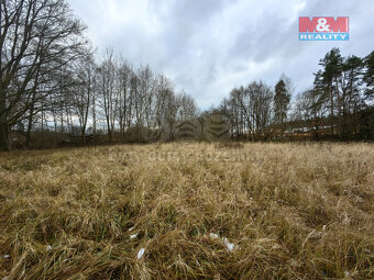 Prodej pole, 4752 m², Borohrádek - 3