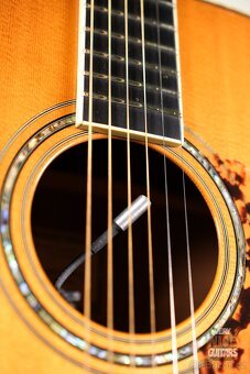 Larivée D-09 Hawaiian Koa - 3