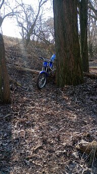 Sherco 300 - 3