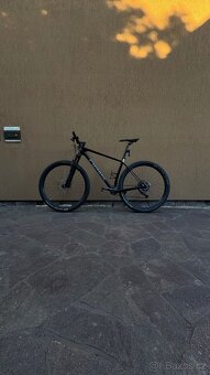 Pells  Duke Race - 3