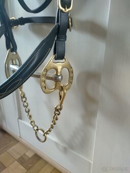 Welsh- výstavní set - 3