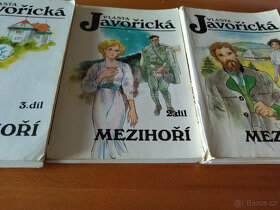Deník šílené milenky, knihy V. Javořické, K.Světlé, M.Holkov - 3