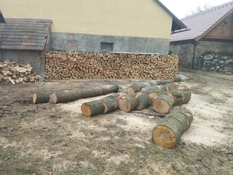 Palivové tvrdé dřevo - 3