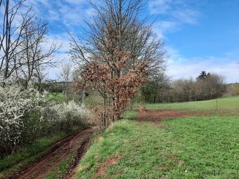 Prodám stav. pozemek v Trutnově - 3