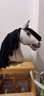 HOBBY HORSE - 3