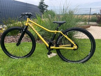 Horské kolo Rascal 24” Sturmer Archer 5s gold zlatá UNI - 3