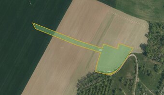 Zemědělská půda, prodej, Radim, Luže, Chrudim - 3