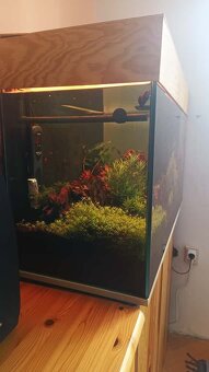 Kompletní akvárium s příslušenstvím - 3