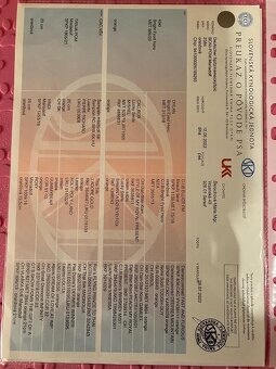 Nememcký špic/ Pomeranian - 3