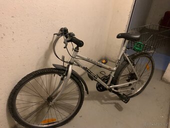 Starší dámské kolo - 3