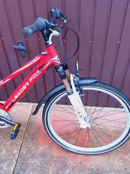 Kolo Leader Fox Maxim - 3