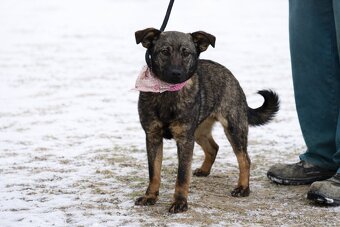 Jasabell rozkošne stenatko - 3