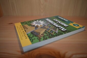 Chyceni v Minecraftu Winter Morgan - 3