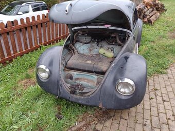 VW Brouk - 3