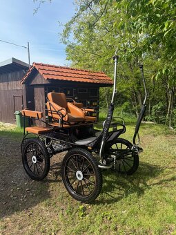 Koč s koňom a postrojmi - 3