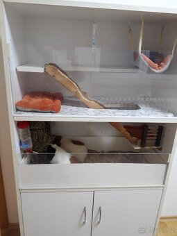 Klec / domek pro morče či menší hlodavce - 3