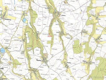 Zemědělská půda, prodej, Pěšice, Řepníky, Ústí nad Orlicí - 3