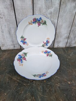 2ks vintage talíře, Alpeflora, zn.Altrohlau MZ. - 3