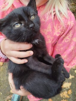 Daruji do dobrých rukou - 3