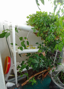 Aquaponický systém set - Hydroponic Grow Kit - 3