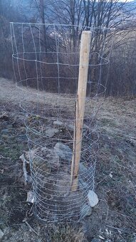 Odkorněné kůly - 3