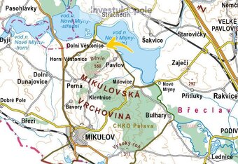 Prodej vinice v k.ú. Dolní Věstonice - 3