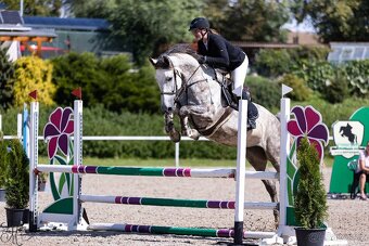 Sikovna mlada klisna - 3