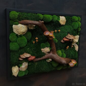 Mechový obraz / obraz ze stabilizovaného mechu - 3