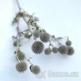 Sušené květiny - 3