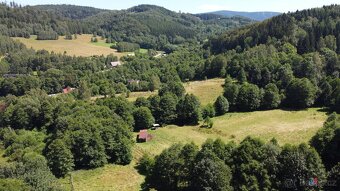 Prodej pozemku 3 118 m2 - Olešnice v Orlických horách - 3