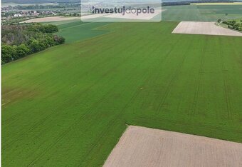 Prodej pole v k.ú. Skuhrov u Mělníka - 3